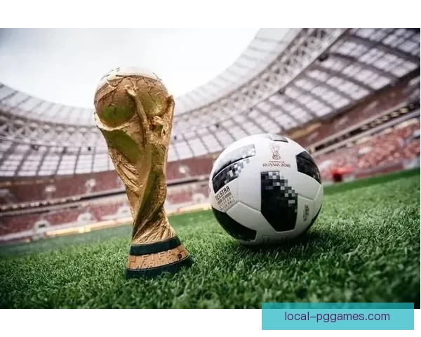 体育球队资料查询指南