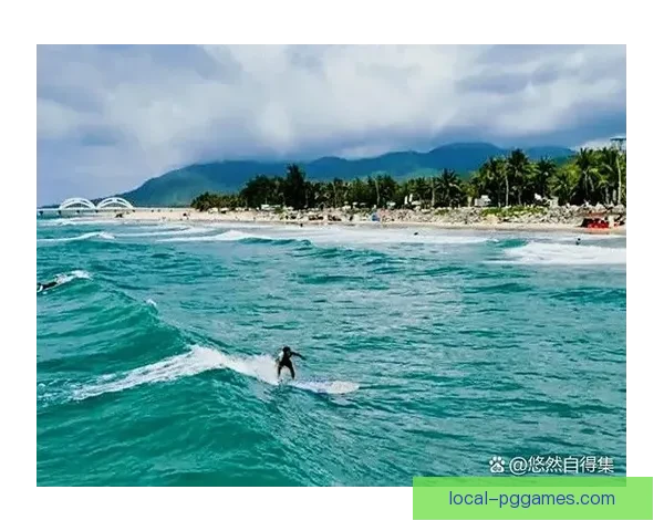 学会冲浪：从零基础到掌握技巧