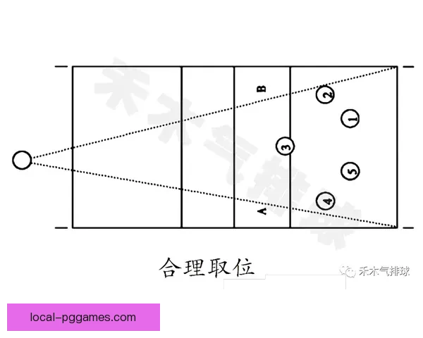 排球初学者必备技巧指南